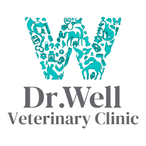 dr-well-logo